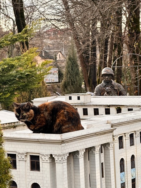 �������� ���� ����� � �����������