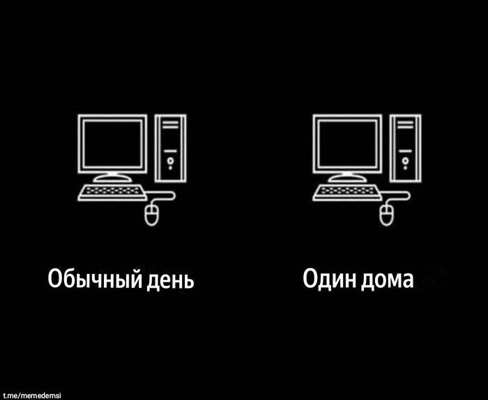     ,   , , , ,   , Telegram (),   