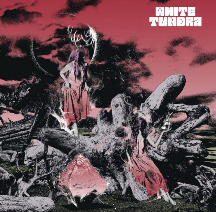   White Tundra 2023 White Tundra