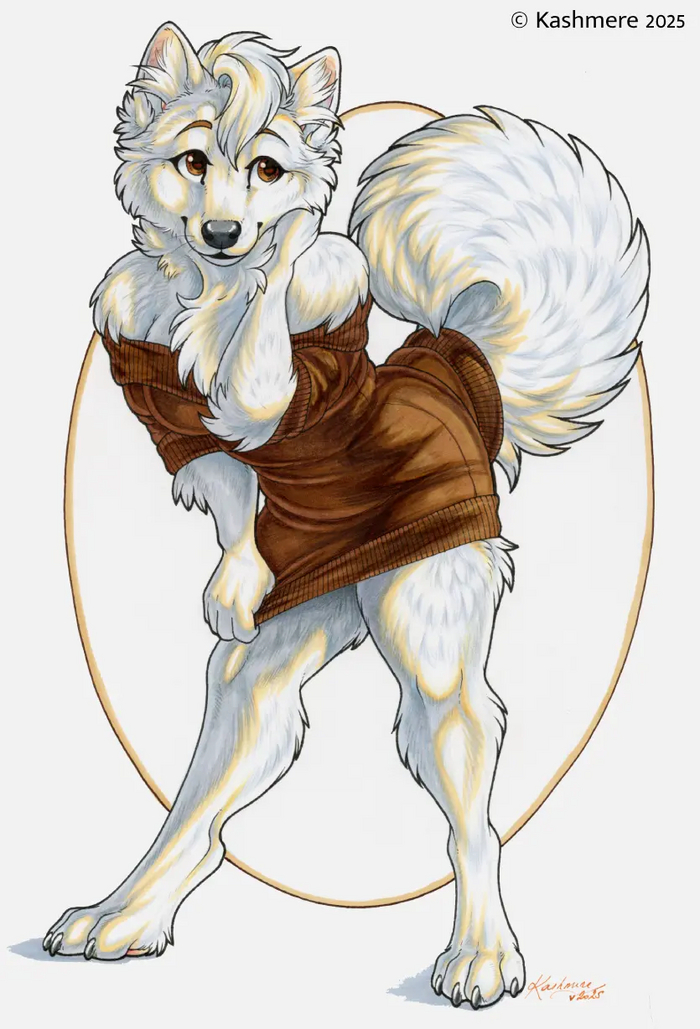   Bit to short , , Kashmere, Furry Dog, Furry edge, ,   