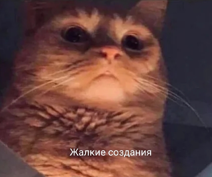 ��� ������� �� ������ � �����, ������� �� ����������, ����� �� �����