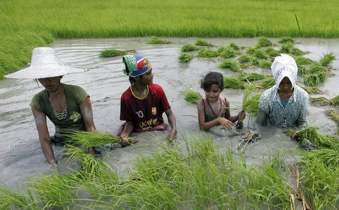 ��������� �������� ���� � ��������� ������