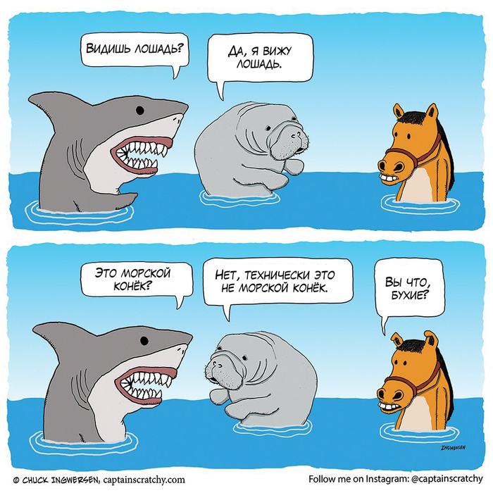  , , ,  , Captainscratchy