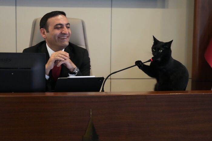 Слово нашему котреспонденту