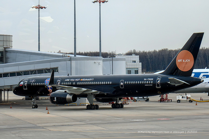 Необычный чёрный самолёт во Внуково