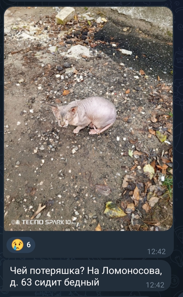 . ,    ,  , , , 