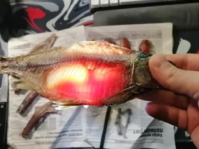 Продолжение поста «Прошу всех гурманов подтвердить кошерность моего завтрака» Плотва, Вяленая рыба, Фотография, Ответ на пост