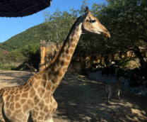 ��� ��� ������: �������, �������� � ��������