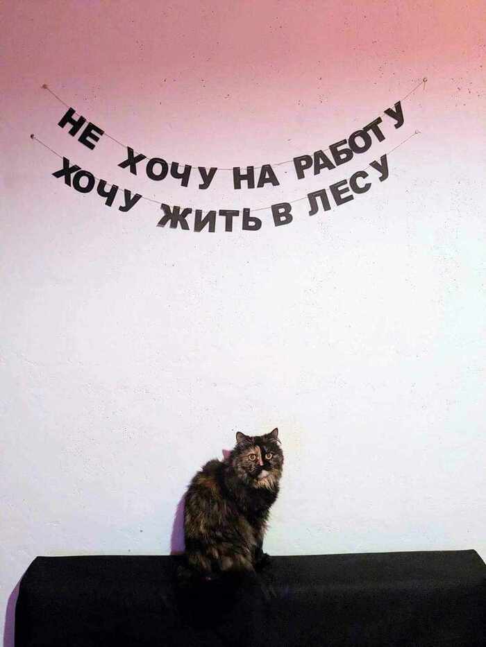 ,   ! , , 