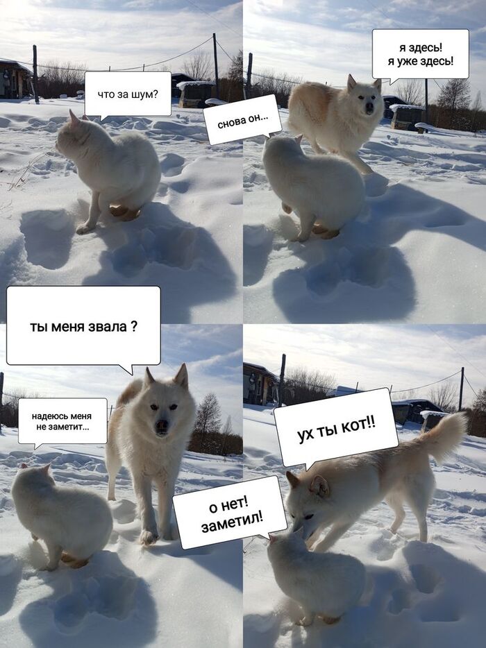     .     , , , , , , , , , , , , 