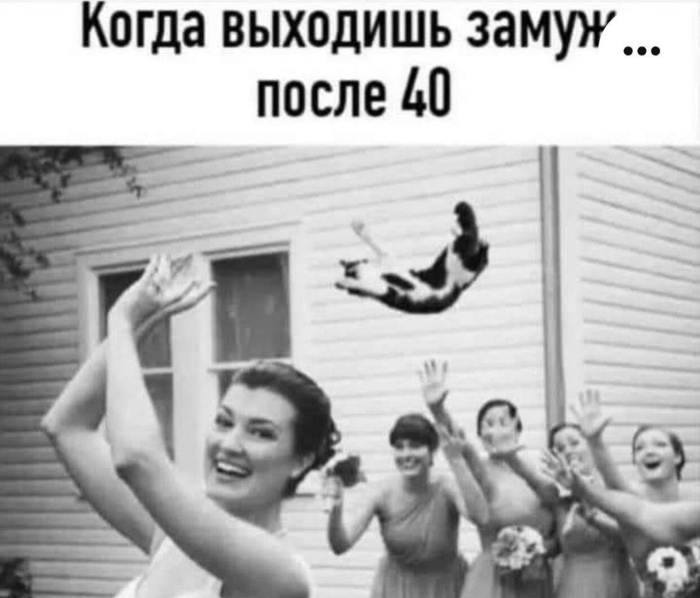   , ,   , , 