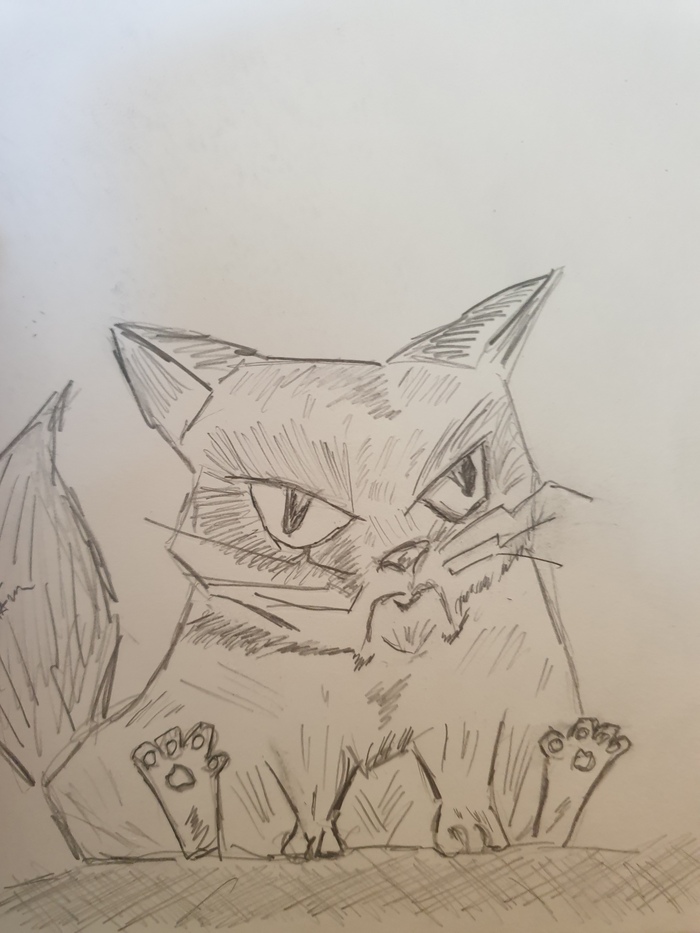 Пьятничный кот