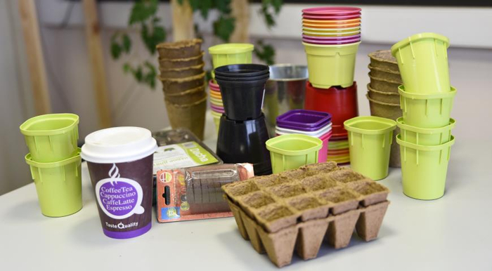 ТОП ошибок при выращивании рассады Садоводство, Растения, Растениеводство, Рассада, Длиннопост