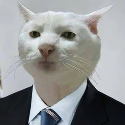 KotBegemot45