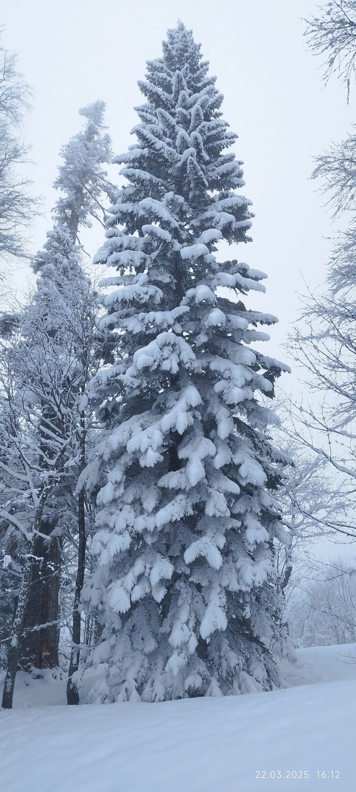 220км. от Краснодара