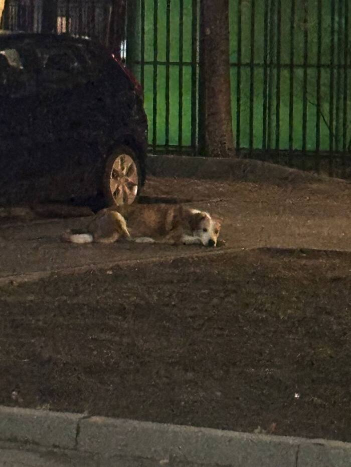     ,  , , , ,  