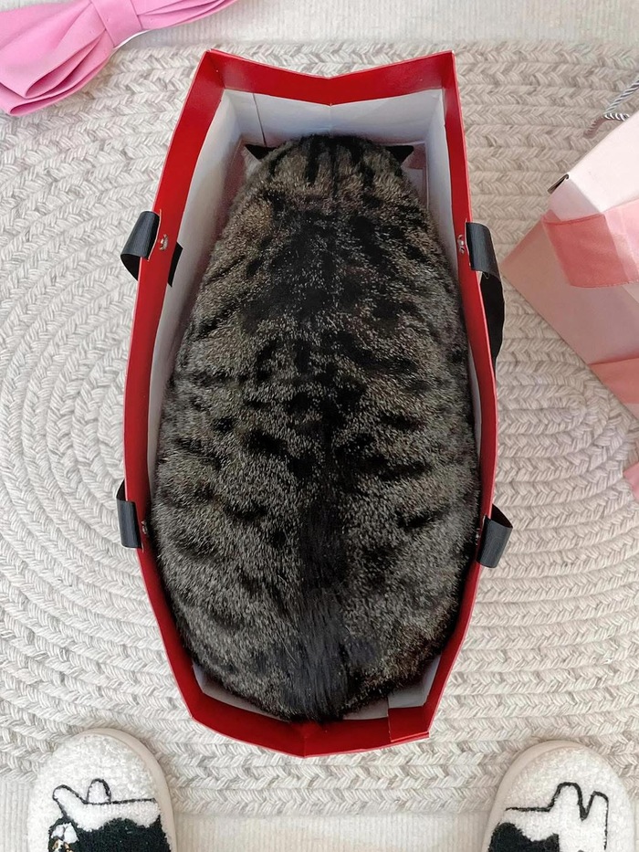   , , 