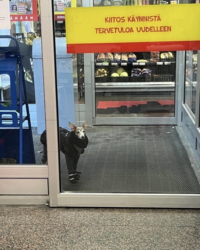   , , ,  