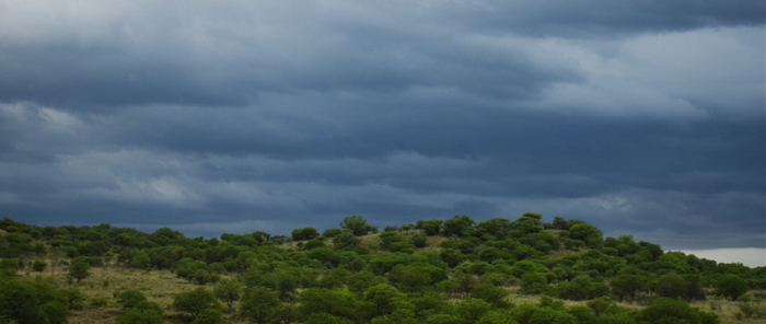 ���. 3 ��������� ������ ����� � ���������� ������