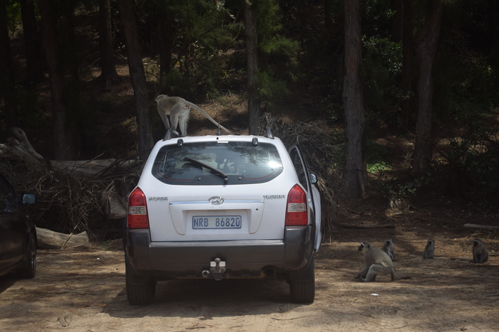 ���. 7. ��������, ��������� � ����� � ��������� ���������� ������