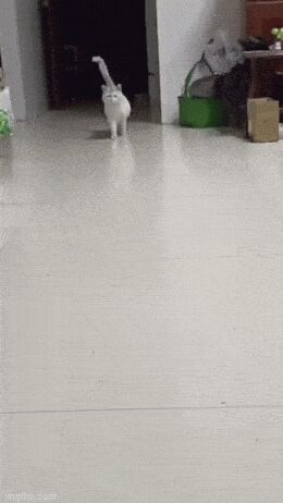   , , , 