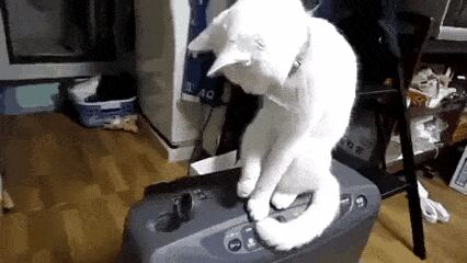   , , , 
