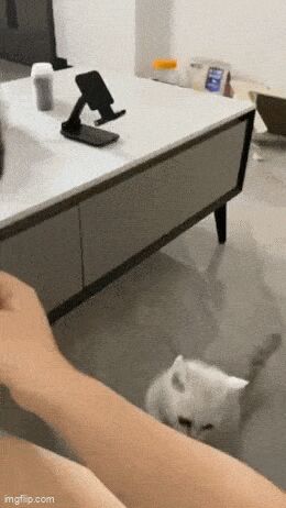   , , , 