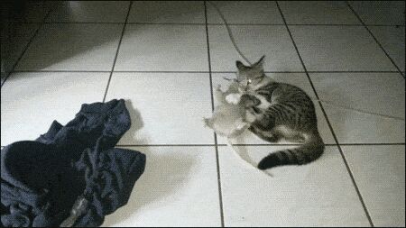   , , , 