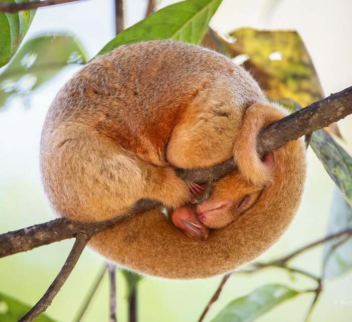   ,  ,  ,  , , , 