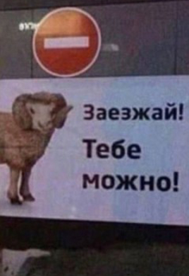 ����� �� ���� �����������. ��������