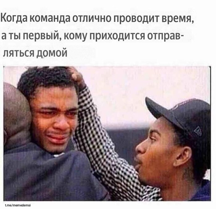    15  ,   , , , , Telegram ()