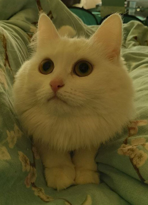 �? ��? ��� �� ����� ��������? � �� � ����� �������!