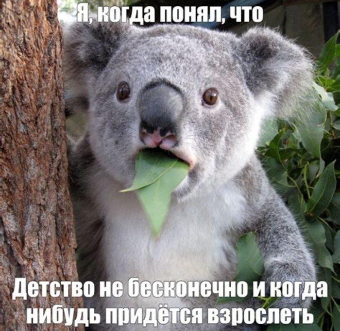 Как я борюсь с ленью (никак)