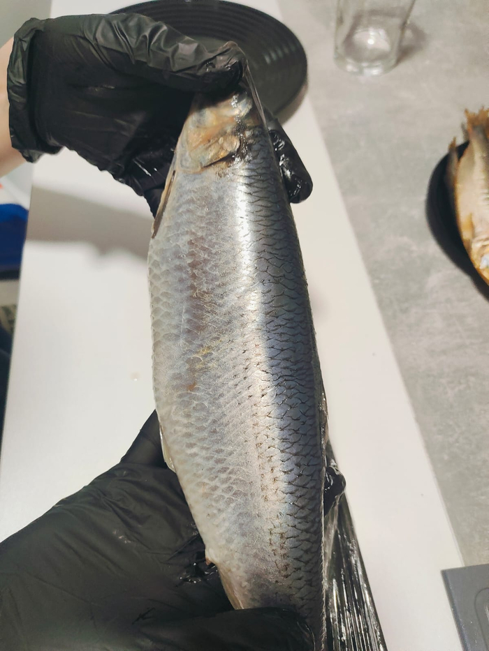 � ������� ���� �������. ���� ��������� � ��������� ��� ,���� ��� ������ � �����.