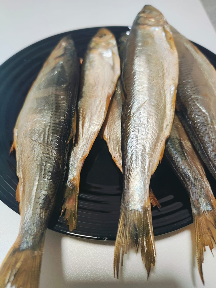 ������ �������� �����. ������� ������. �������� � �������!