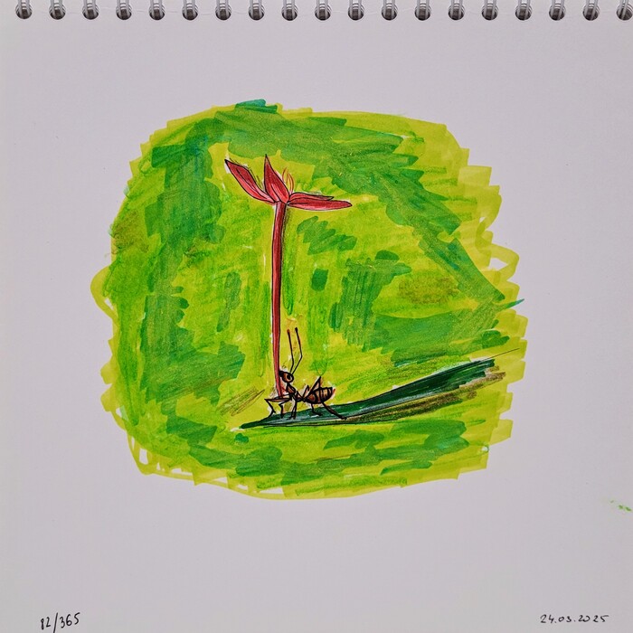    "  ". 82/365 , , , , 