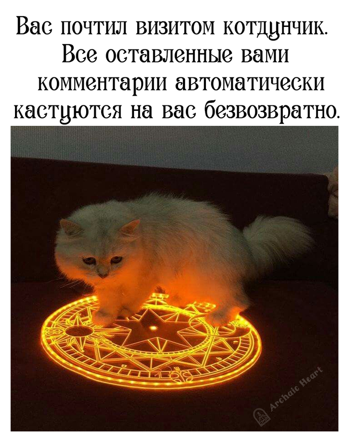 Кот-колдунчик