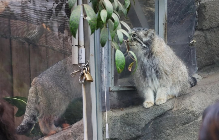 «Дороги любви у нас нелегки...»
