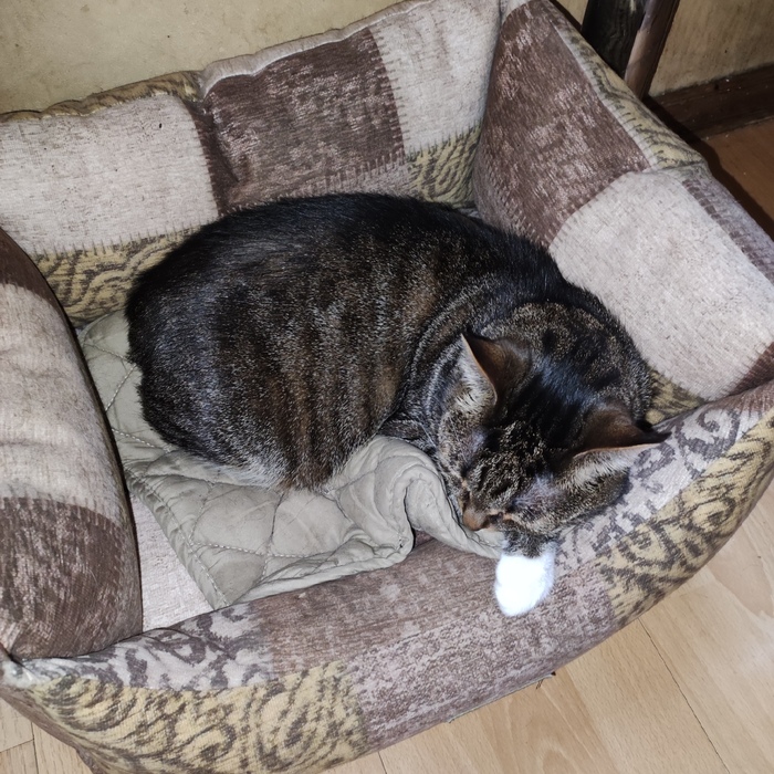 Рыбасы снятся...