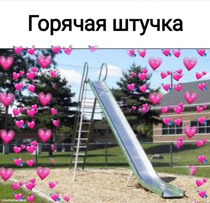      ,   , , ,   , , , , Telegram ()