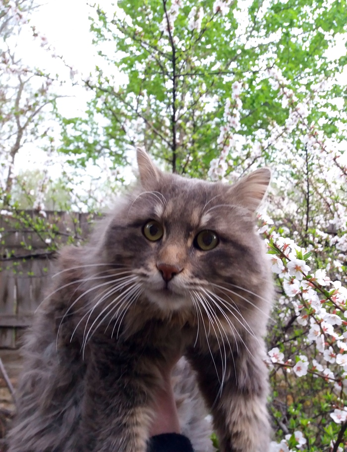 ��� ����� ����! � ��� �������������...