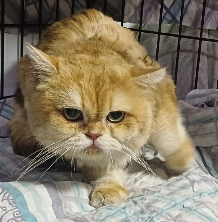   ,  , ,   , , , ,  , ,  , 