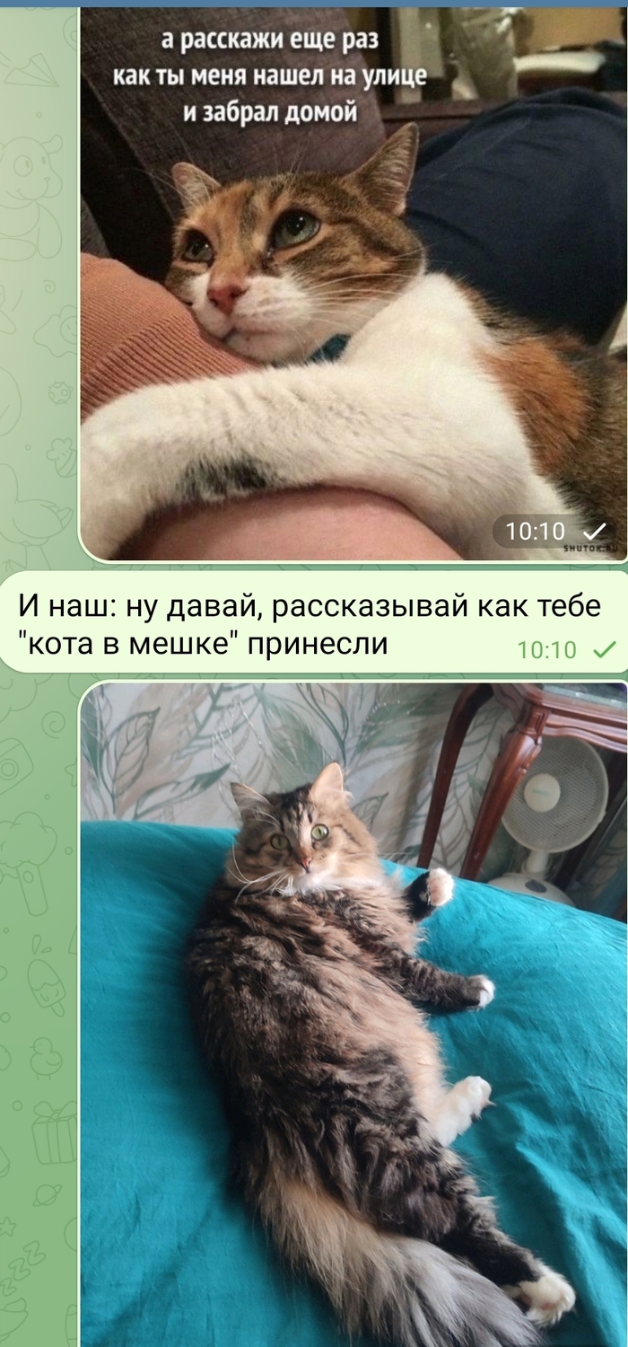    , , 