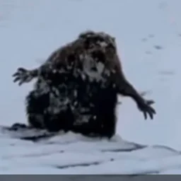 Lirrrik