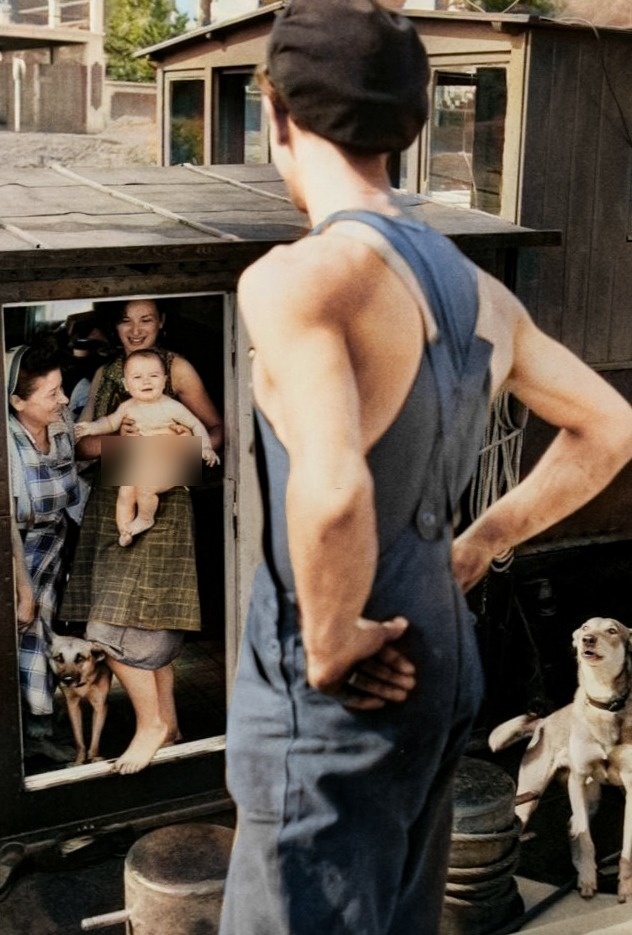 ��������: ���� ������-�������