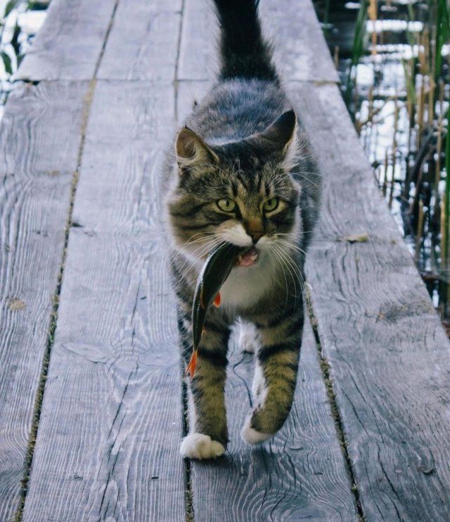 : &quot;  !&quot;   ,    ! ?