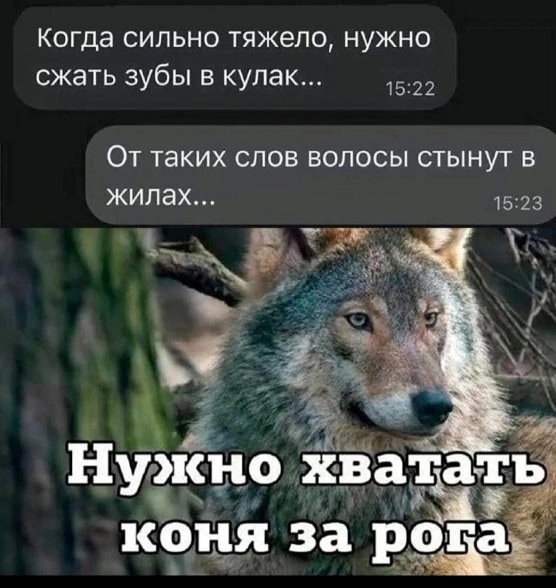 Сила фразеологизма