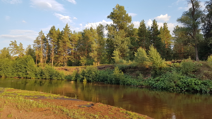 Вечерняя река