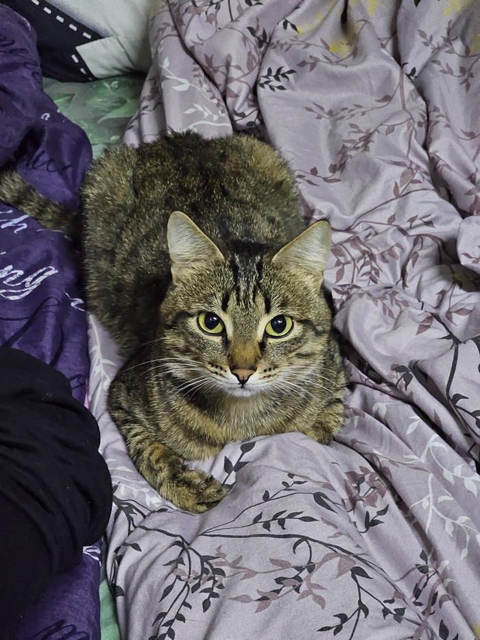 ������� ��������� ��*����