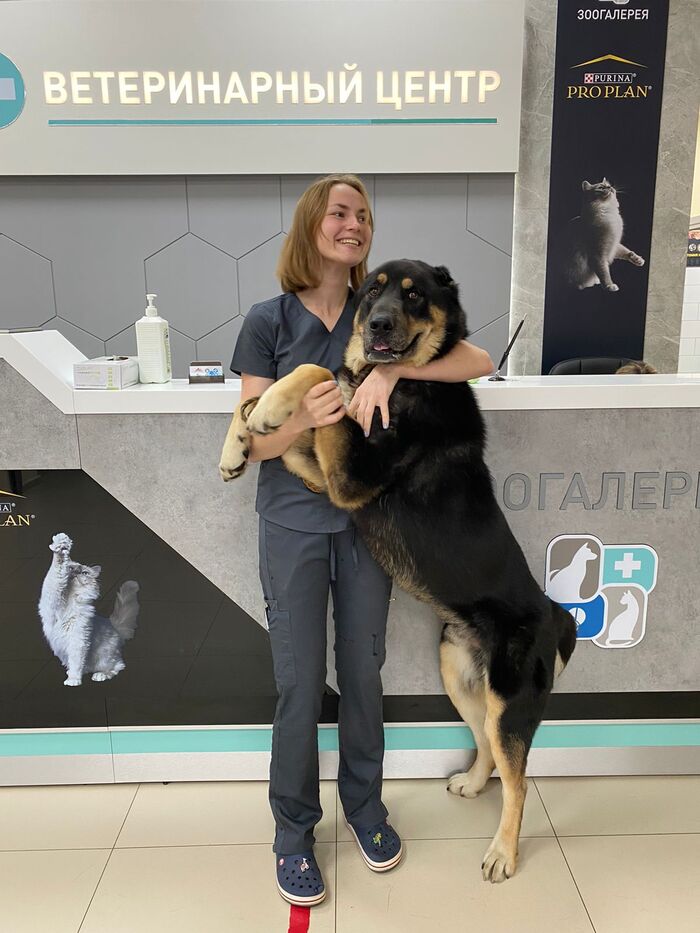 ��� �� � ���� �������� �������� ��� ����� �������